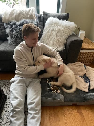 Brayden, a Golden Retriever puppy from Pawrade
