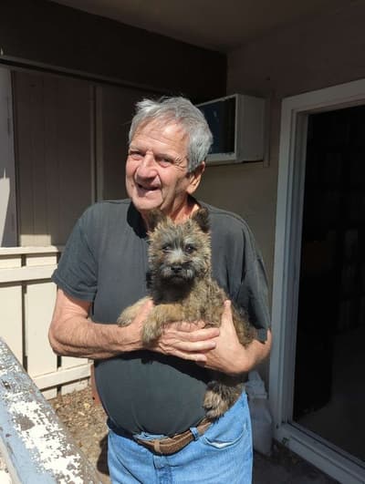 Kailey, a Cairn Terrier puppy from Pawrade