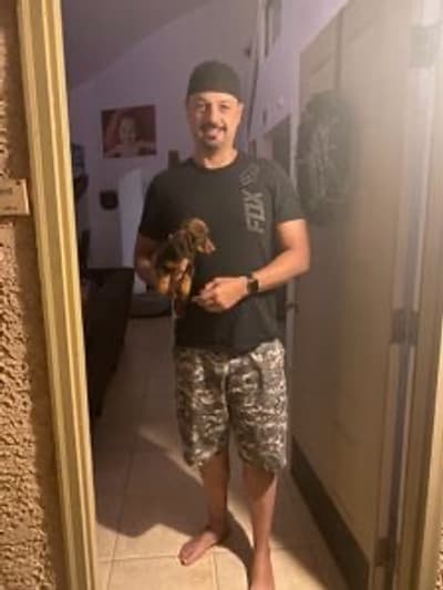 Christy, a Dachshund, Mini puppy from Pawrade