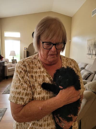 Sabrina, a Cavapoo puppy from Pawrade