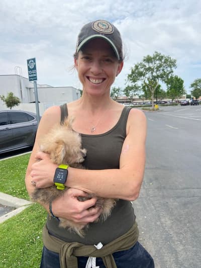 Paddington, a Yorkiepoo - Yorkie Poo puppy from Pawrade
