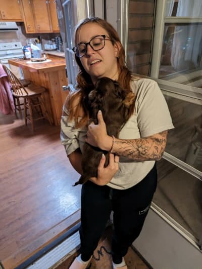 Memphis, a Dachshund, Mini puppy from Pawrade