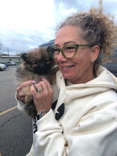 Thea, a Pomeranian puppy from Pawrade