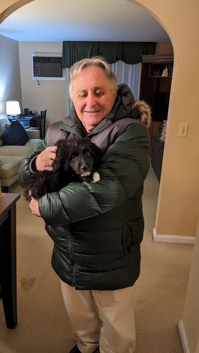 Mason, a Aussiedoodle puppy from Pawrade