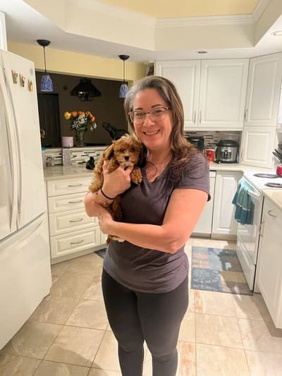 Ines, a Cavapoo puppy from Pawrade