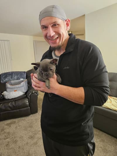 Nicholas, a French Bulldog puppy from Pawrade