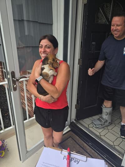 Jonathan, a Beagle puppy from Pawrade