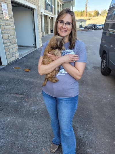 Yolanda, a Shih Tzu puppy from Pawrade