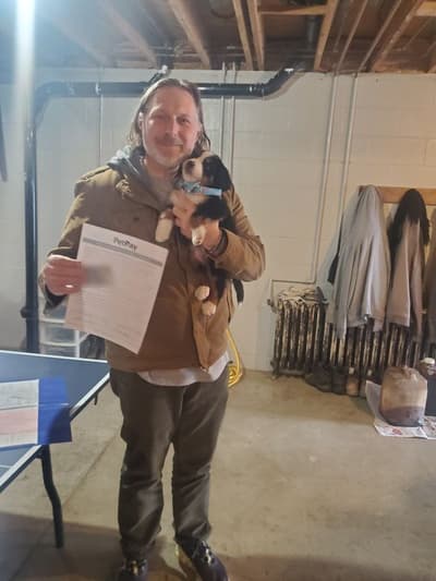 Levi, a Bernese Mountain Dog puppy from Pawrade