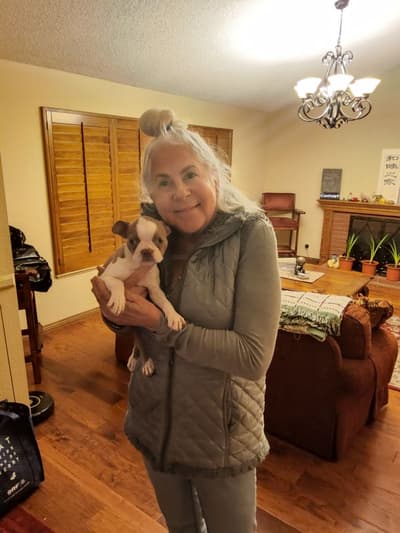 Lori, a Boston Terrier puppy from Pawrade