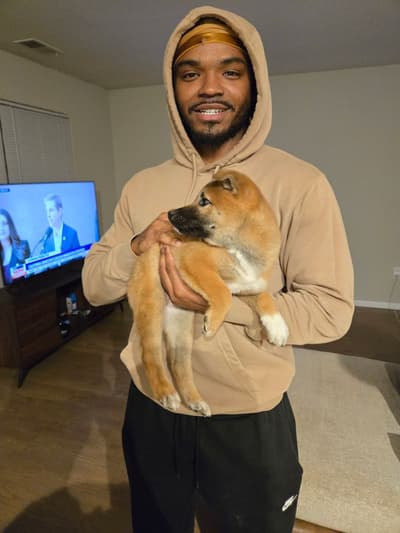 Gunner, a Shiba Inu puppy from Pawrade