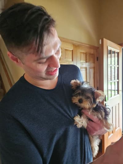 Stan, a Yorkshire Terrier - Yorkie puppy from Pawrade