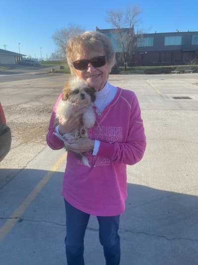 Rosa, a Shih Tzu puppy from Pawrade