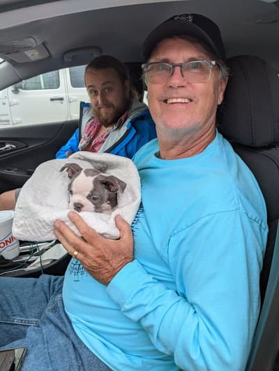 Little Bit, a Frenchton puppy from Pawrade