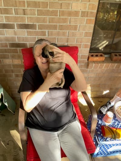 Winnie, a Pug puppy from Pawrade
