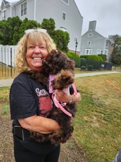 Faith, a Cockapoo puppy from Pawrade