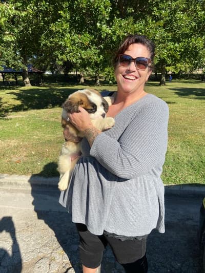 Benny, a Saint Bernard - St. Bernard puppy from Pawrade