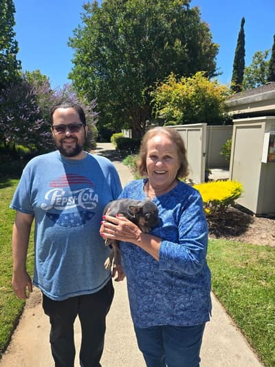 Bacon, a French Bulldog puppy from Pawrade