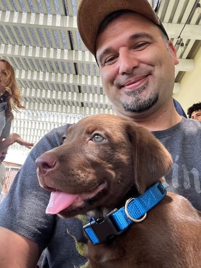 Franny, a Labrador Retriever puppy from Pawrade