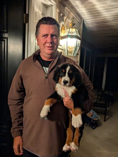 Rocky, a Bernese Mountain Dog puppy from Pawrade