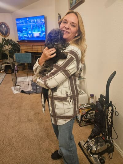 Heston, a Goldendoodle, Mini puppy from Pawrade