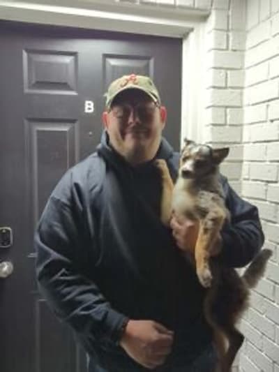 Hadley, a Pomsky puppy from Pawrade