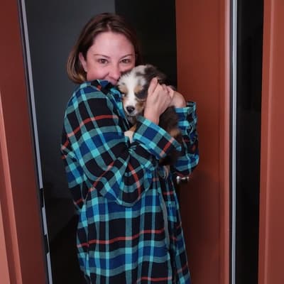 Charles, a Miniature Australian Shepherd puppy from Pawrade