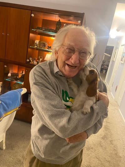 Scarlett, a Cavalier King Charles Spaniel puppy from Pawrade