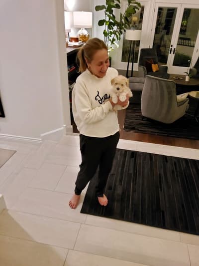 Duffy, a Bich-Poo - Bichpoo puppy from Pawrade