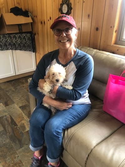 Abbie, a Goldendoodle, Mini puppy from Pawrade