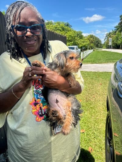 Zane, a Yorkshire Terrier - Yorkie puppy from Pawrade