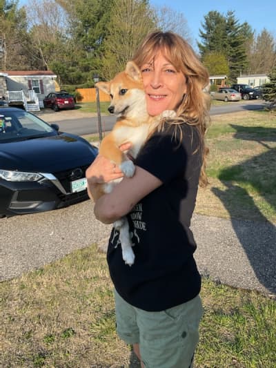 Carmen, a Shiba Inu puppy from Pawrade