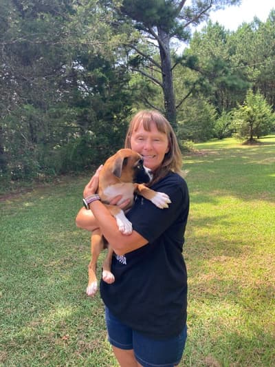 Burger, a Boxer puppy from Pawrade