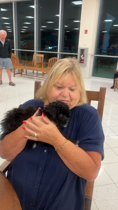 Austin, a Malti Poo - Maltipoo puppy from Pawrade