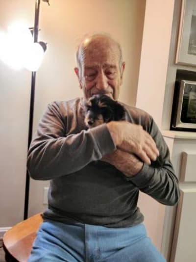 Irma, a Dachshund, Mini puppy from Pawrade