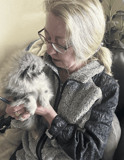 Angela, a Pomeranian puppy from Pawrade