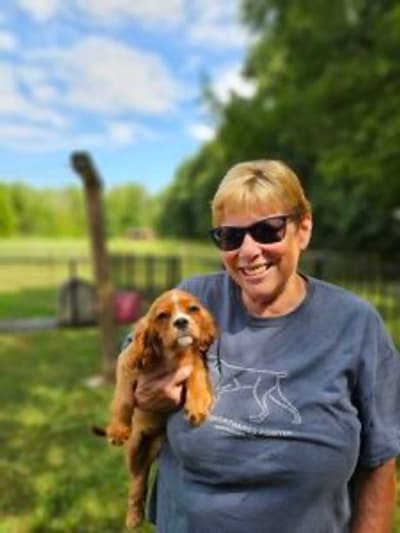 Sparkle, a Cavalier King Charles Spaniel puppy from Pawrade