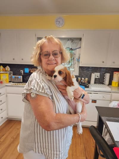 Yara, a Cavalier King Charles Spaniel puppy from Pawrade