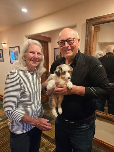 Benjamin, a Miniature Australian Shepherd puppy from Pawrade