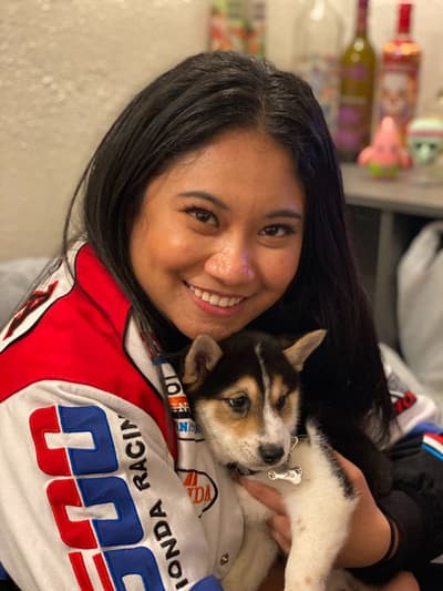 Otis, a Shiba Inu puppy from Pawrade
