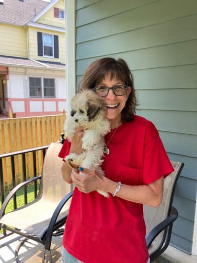 Dory, a Coton De Tulear puppy from Pawrade