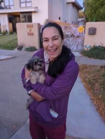 Dior, a Malti Poo - Maltipoo puppy from Pawrade