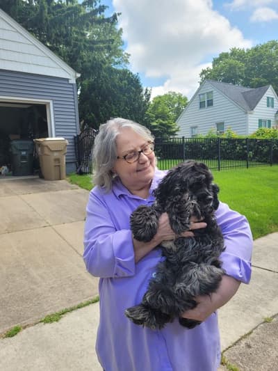 Tenley, a Cocker Spaniel puppy from Pawrade