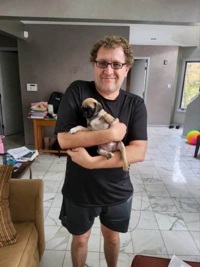 Carmen, a Pug puppy from Pawrade