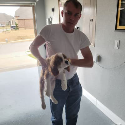 Andy, a Cavalier King Charles Spaniel puppy from Pawrade