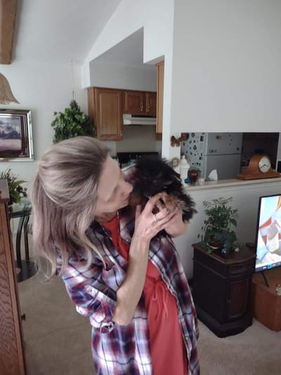 Sassy, a Yorkshire Terrier - Yorkie puppy from Pawrade