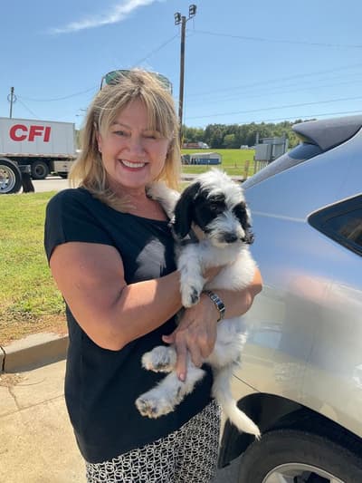 Niles, a Sheepadoodle puppy from Pawrade