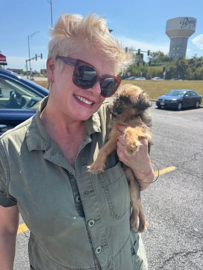 Buttons, a Brussels Griffon puppy from Pawrade