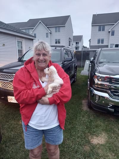 Chanel, a Cavachon puppy from Pawrade