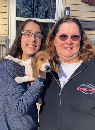 Zachary, a Beagle puppy from Pawrade